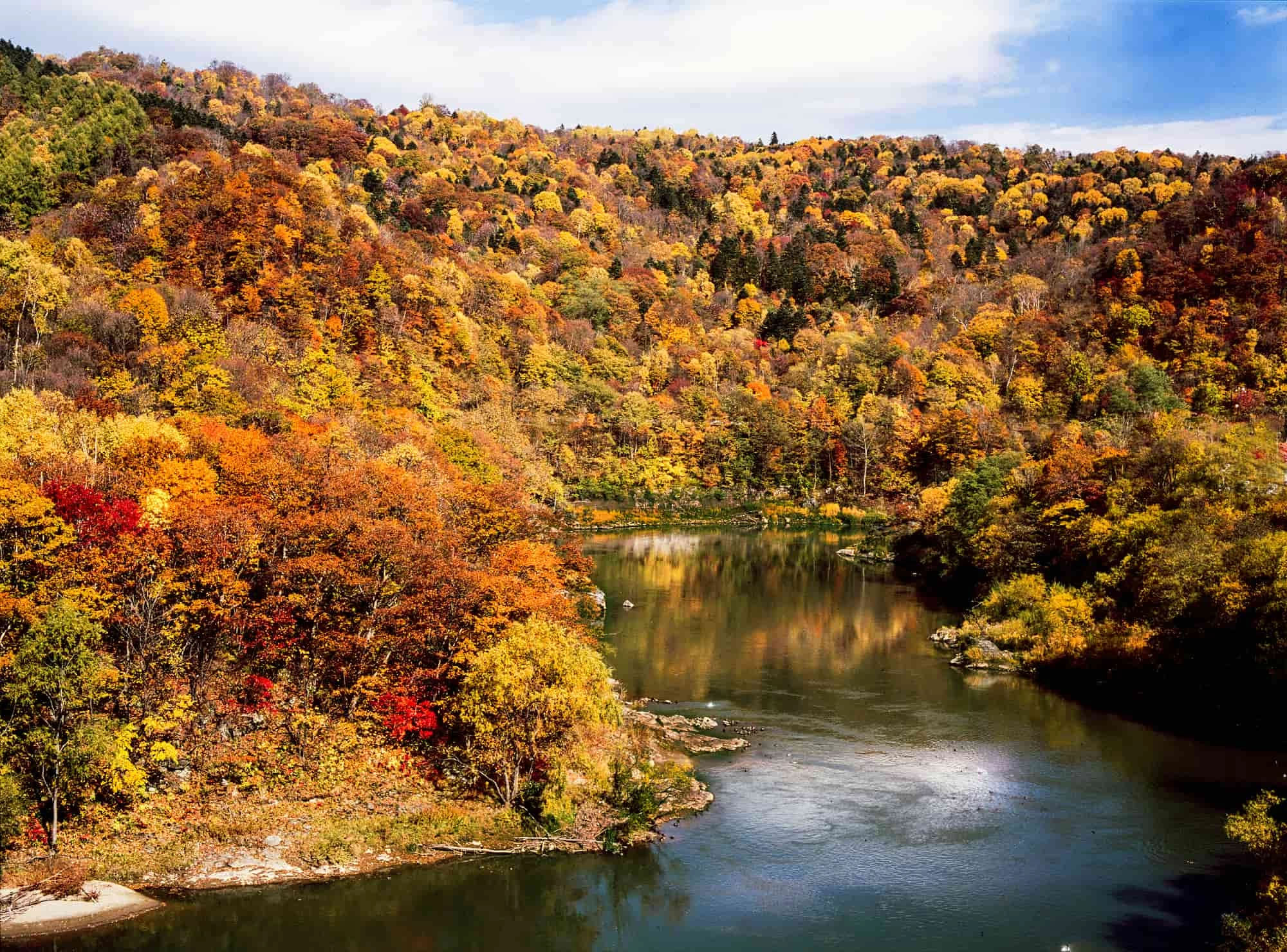 北海道】旭川の紅葉スポット9選｜見頃時期＆絶景ポイントを紹介